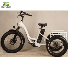 OEM 3 Wheels Electric Tricycles/ 500W E Bicycle for Adults 3 Wheels